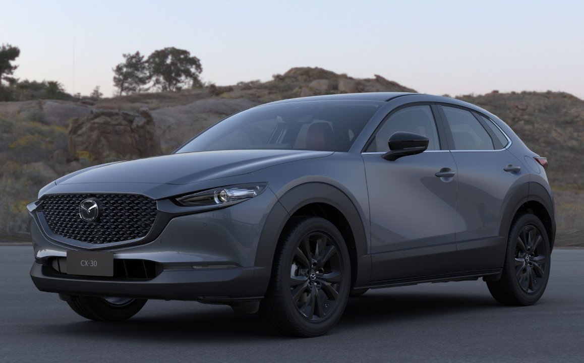 G20 TOURING LE VISION (FWD)